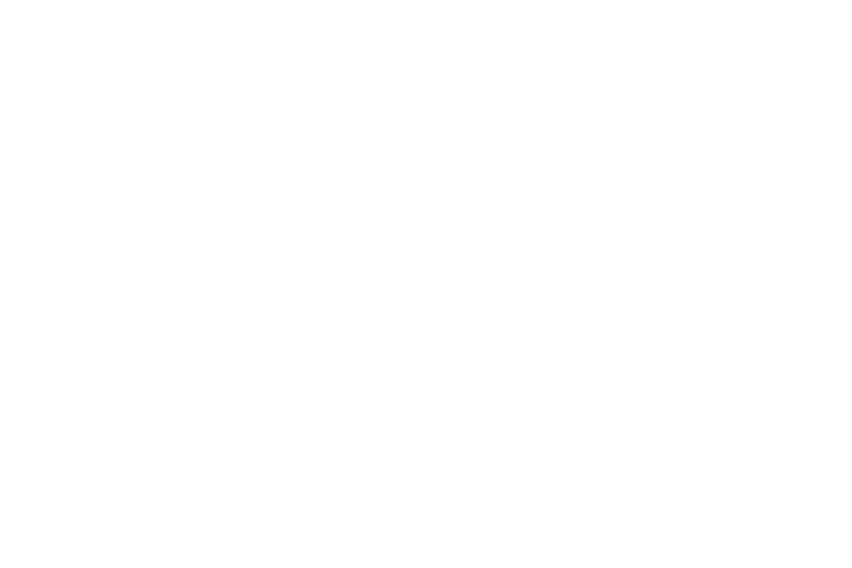 lester and associates logo